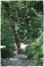 bar_sur_seine_1110