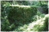 bar_sur_seine_1112